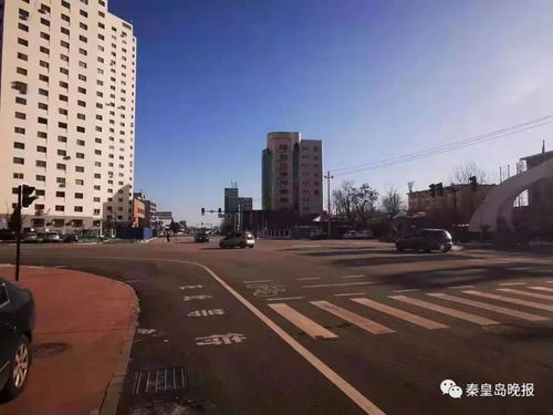 海濱路東西延伸工程二標段明日通車，區域交通網絡再添動脈
